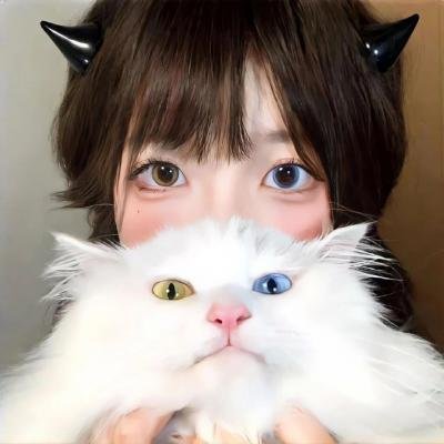 机械小子之勇斗机动战士